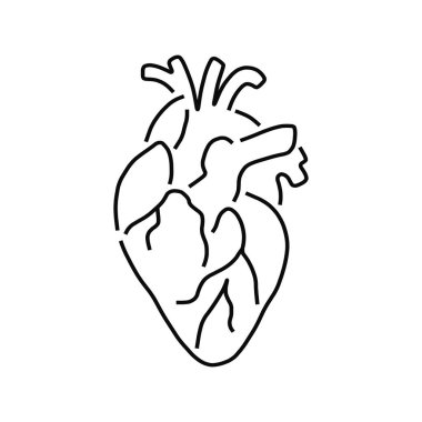 Gerçekçi Kalp simgesi beyaz arkaplanda izole edildi. Vektör tıbbi kalp logosu. İnsan kalbi çizgisi. resimleme