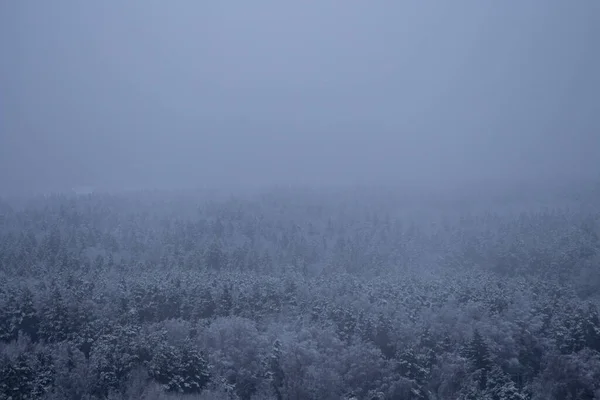 Paisaje Nublado Invierno Montañas Nevadas Bosque Cubierto Nieve Vista Desde — Foto de Stock