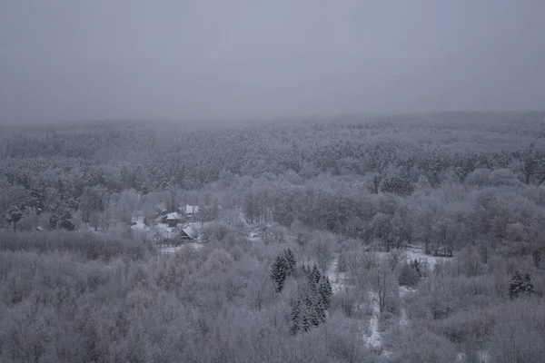 Dimmiga Vinterlandskap Snötäckta Berg Snötäckta Skogar Utsikt Från Ovan Selektivt — Stockfoto