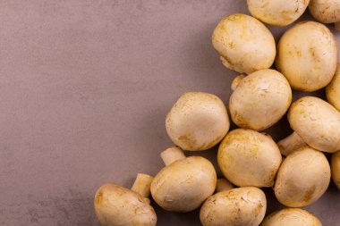 Gri arka planda taze porcini mantarları. Yukarıdan bak. Sırayla dizilmiş