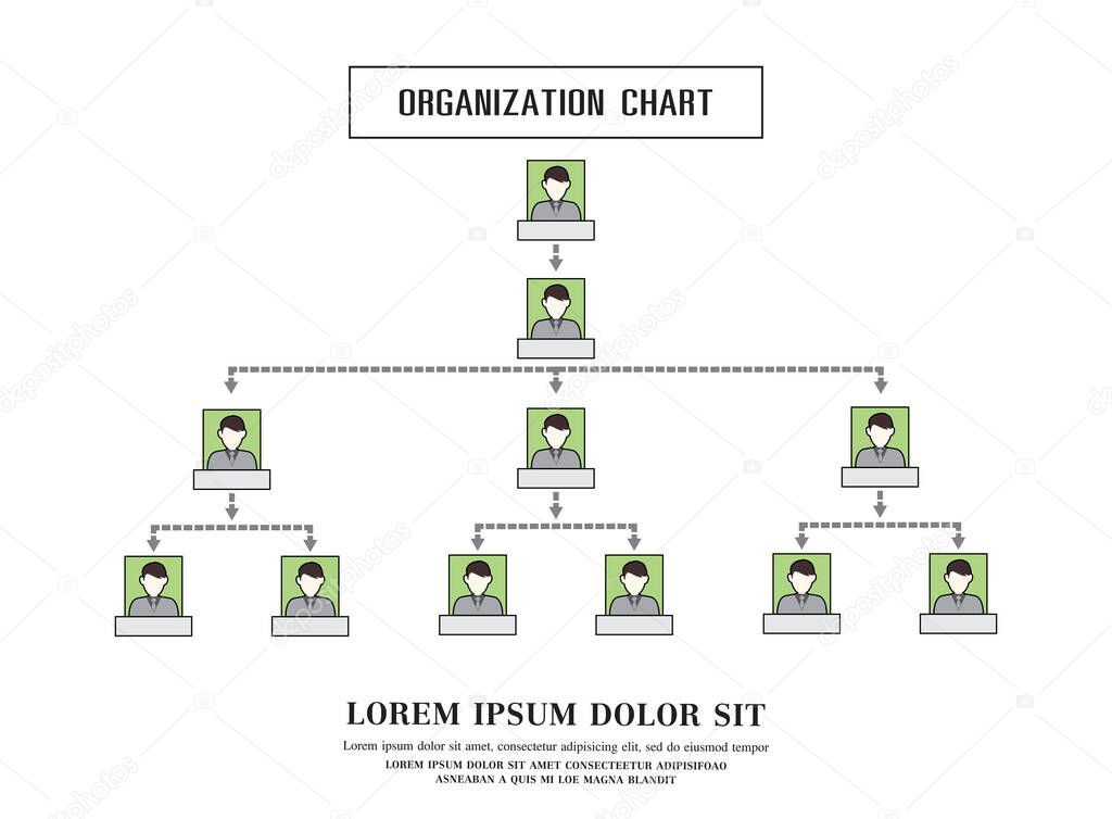 Organization Chart Infographics, vector design