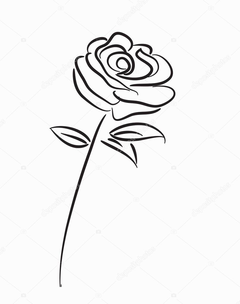 rose Flower  ,line drawing style,  art design