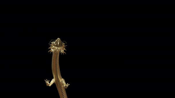 Animação Ouro Dragão Chinês Mover Lento Para Alvo Chão Com — Vídeo de Stock
