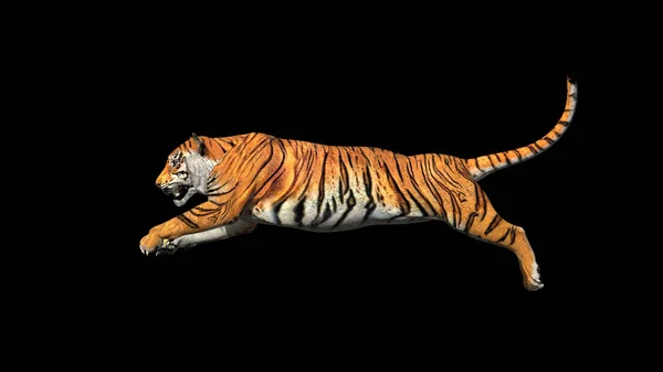 Bengal tiger jump in the airnice pose with 3d rendering.