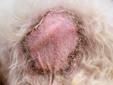 Perspektif görünümünde yol çimento bloğu arasındaki çimenleri kapat.