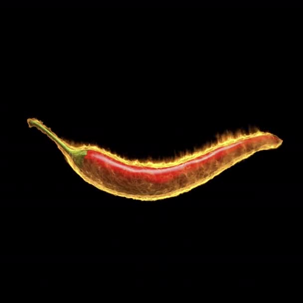 chili rouge si chaud avec animation effet feu réaliste par rendu 3d .