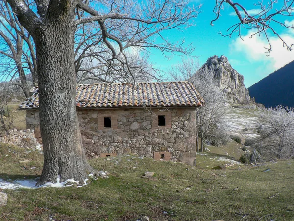 Casa Piedra Árbol Con Ramas Secas Con Fondo Paisaje Nevado — Foto de Stock