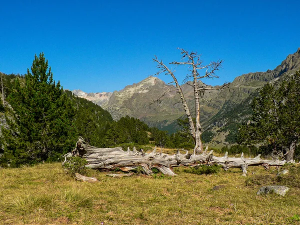 Pico Aneto, Pirineos, Huesca, Aragón, España — Foto de Stock