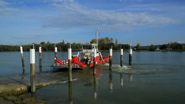 Mesnil Soous Jumieges Seine Maritime Normandiya Fransa — Stok video