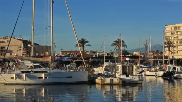 Saint Cyrien Pyrenees Orientales France Fishing Harbour Traditional Mediterranean Fishing — Stock Video