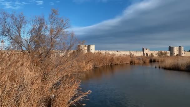 Aigues Mortes Gard Occitanie Francja Mury Trzciny Stronie Południowej — Wideo stockowe