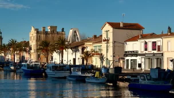 Grau Roi Gard Occitanie France Grau Roi Est Port Poissons — Video