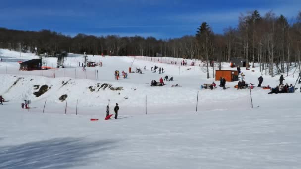 Mont Aigoual Gard Occitanie Fransa Kış Mevsiminde Mont Aigoual Tatil — Stok video