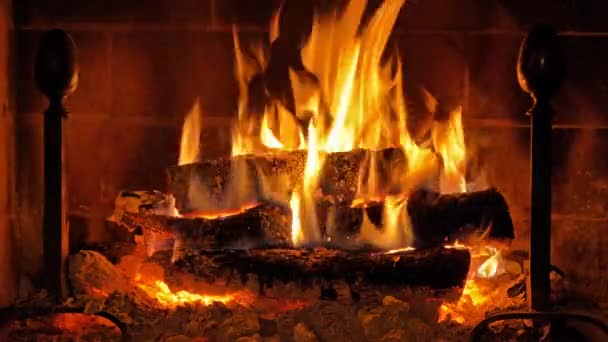 Burning Logs Living Room Fireplace — Stock Video