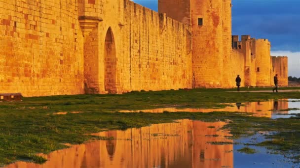 Aigues Mortes Gard Occitanie Frankrike Södra Sidan Vallar Efter Regnet — Stockvideo