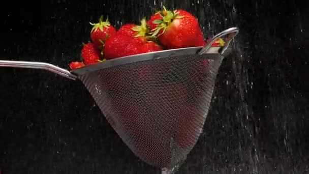 菜园草莓 茴香花 水滴在水果上 — 图库视频影像