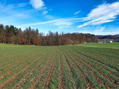 Crop rotation of a cultivated agricultural field that has been left unused with grass.