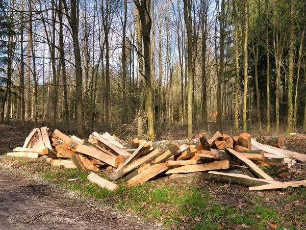 Alberi Lavorati Tagliati Tronchi Trovano Una Pila Accanto Sentiero Nella — Foto Stock