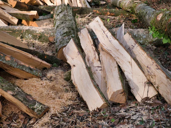 Bomen Verwerkt Blokken Gehakt Liggen Een Stapel Naast Het Voetpad — Stockfoto