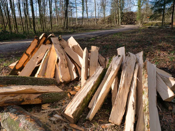 Árvores Processadas Cortadas Troncos Estão Uma Pilha Lado Caminho Floresta — Fotografia de Stock