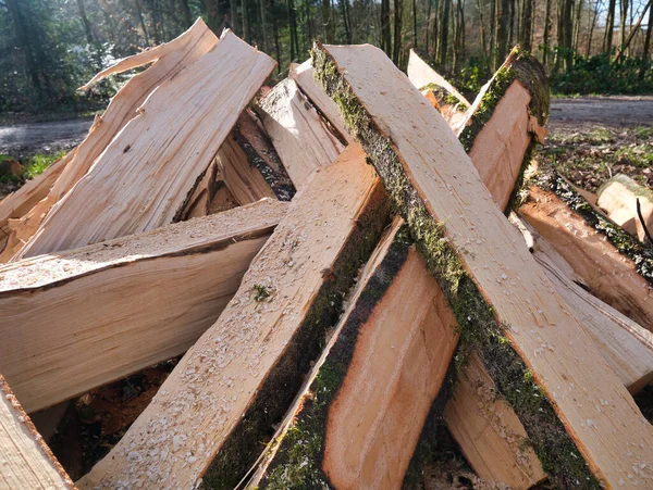 Árvores Processadas Cortadas Troncos Estão Uma Pilha Lado Caminho Floresta — Fotografia de Stock