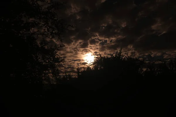 Moon at night — Stock Photo, Image