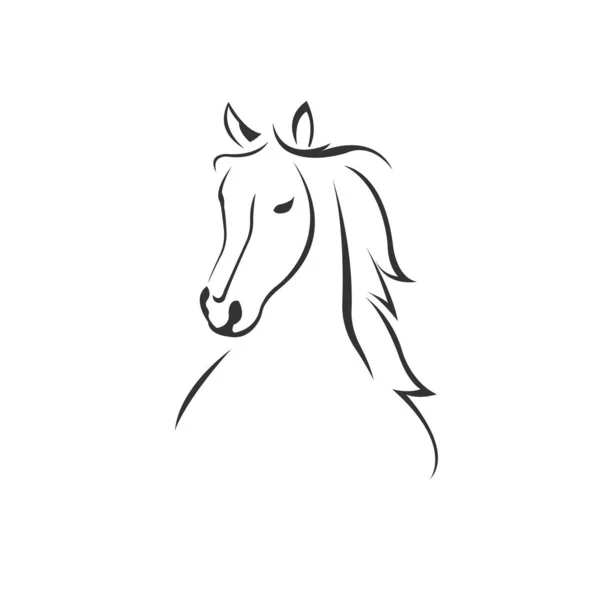一匹黑白相间的马的矢量图像. 设计风格。 动物. — 图库矢量图片