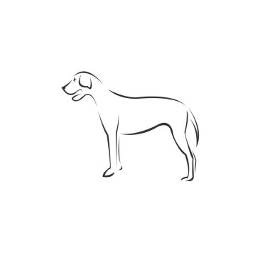 Vector image of an Dog black and white. design style. animal. ar