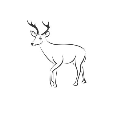 Vector image of an Deer black and white. design style. animal. a