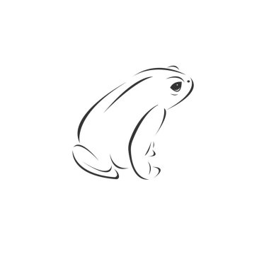 Vector image of an Frog black and white. design style. animal. a
