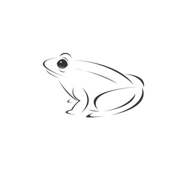 Vector image of an Frog black and white. design style. animal. a