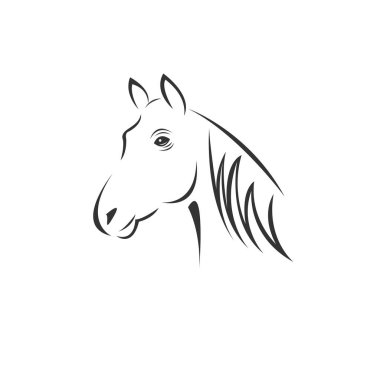 Vector image of an horse black and white. design style. animal. 