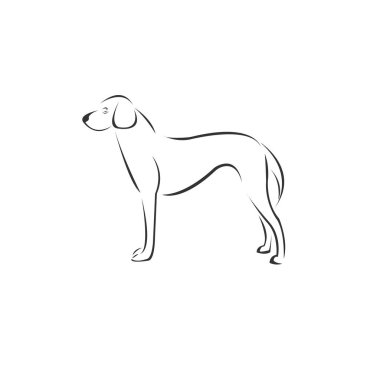 Vector Dog Head Black and White Logo, Sign, Design. symbol. Mamm