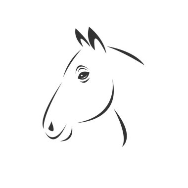 Vector of horse head  icon to animal Black and White Logo, Sign,