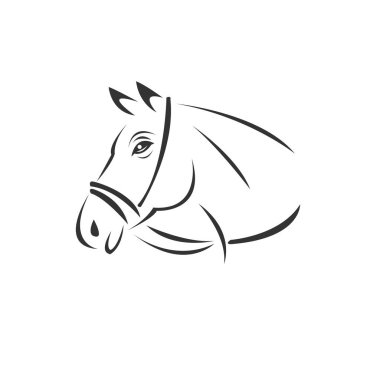 Vector of horse head  icon to animal Black and White Logo, Sign,