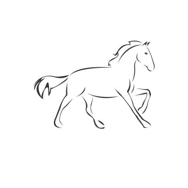 Vector Horse icon to animal Black and White Logo, Sign, Design. 