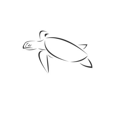 Vector of turtle on a white background, Animal. Pet. Easy editab