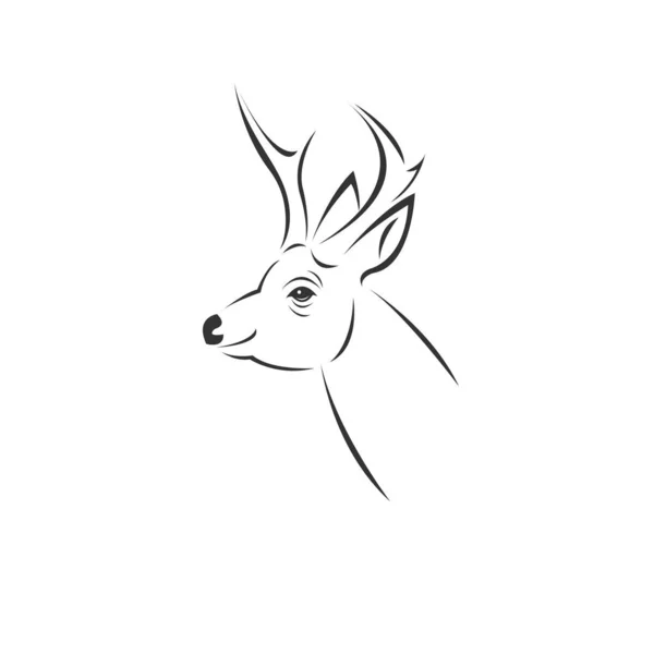 Vector image of an Deer black and white. design style. animal. a — 스톡 벡터