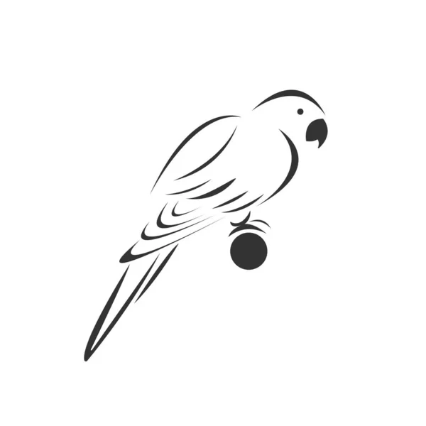 Vetor de um ícone de papagaio para animal Preto e Branco Logo, Sign, De — Vetor de Stock