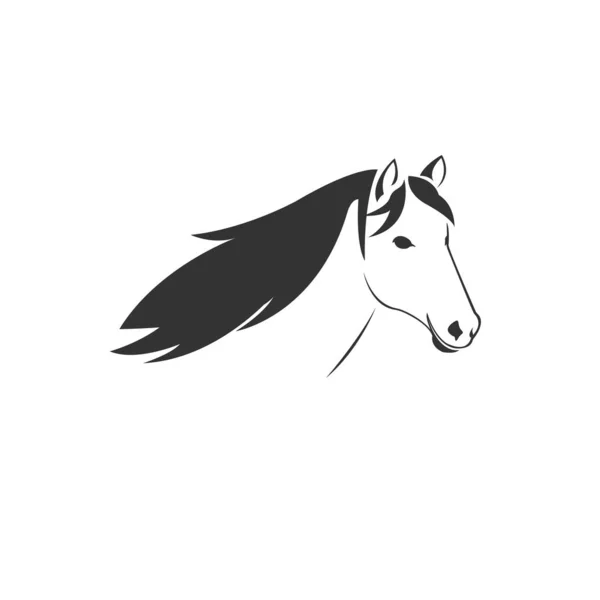 Vecteur de tête de cheval icône à l'animal Logo noir et blanc, Signe , — Image vectorielle