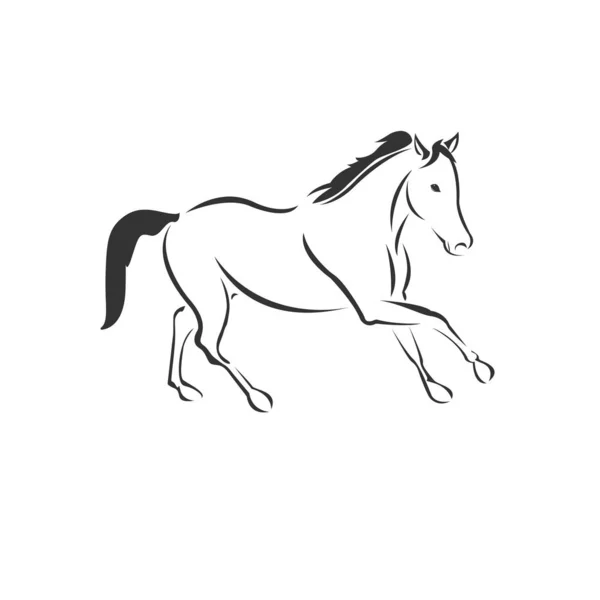 Icono de caballo vectorial a animal Logo en blanco y negro, signo, diseño . — Archivo Imágenes Vectoriales