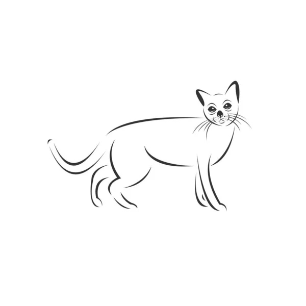Wektor ikony kota do zwierzęcia Czarno-białe logo, znak, Desig — Wektor stockowy