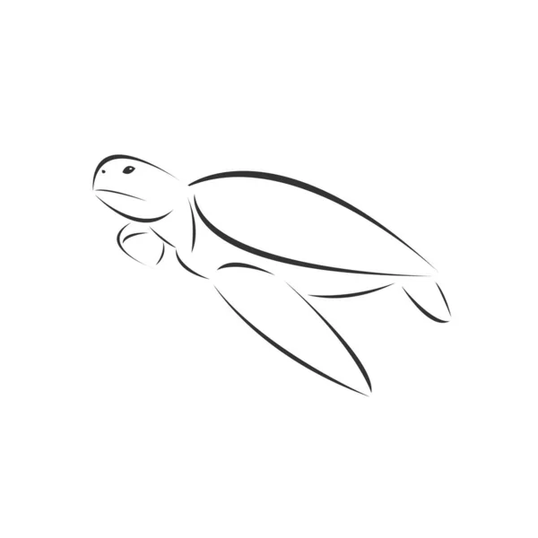 Vector of turtle on a white background, Animal. Pet. Easy editab — 스톡 벡터