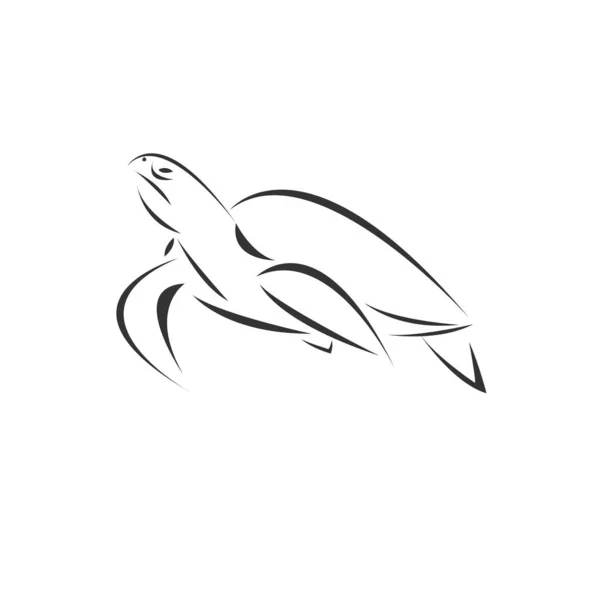 Teknős vektor fehér háttérrel, Állat. Kisállat. Könnyű szerkesztés — Stock Vector