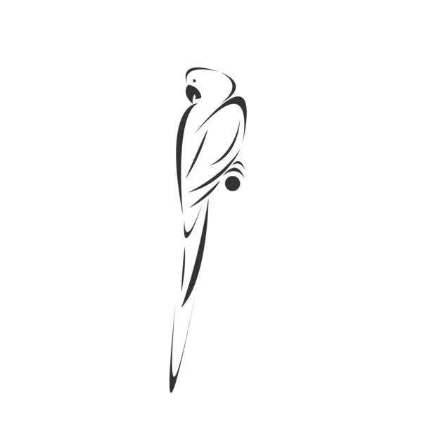 Вектор от значка попугая к животному Черно-белому, Знак, Де Лицензионные Стоковые Иллюстрации