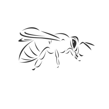 Beyaz arka planda bal taşıyıcısı, Hayvan. Böcek. Kolay düzenleme