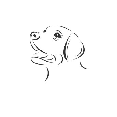 Beyaz arka planda köpek taşıyıcısı, Hayvan. Memeliler. Kolay düzenleme