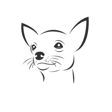 Beyaz arka planda köpek taşıyıcısı, Hayvan. Memeliler. Kolay düzenleme