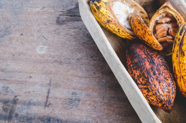 Bir fincan sıcak kakaolu kakao ve kakao çekirdeği, kakao kavramını da içerir.