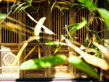 Doğanın mükemmel güzelliği Bambo 'nun arkasındaki ahşap kapılı